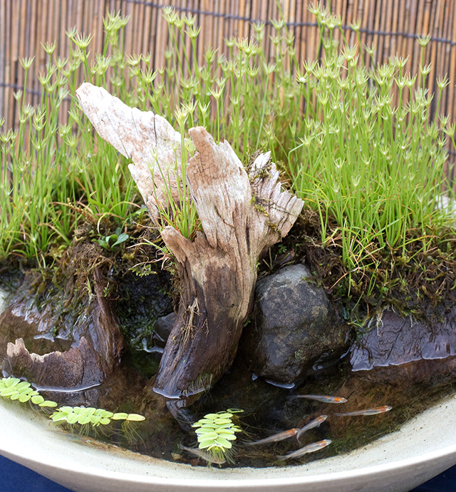 南九州植物園